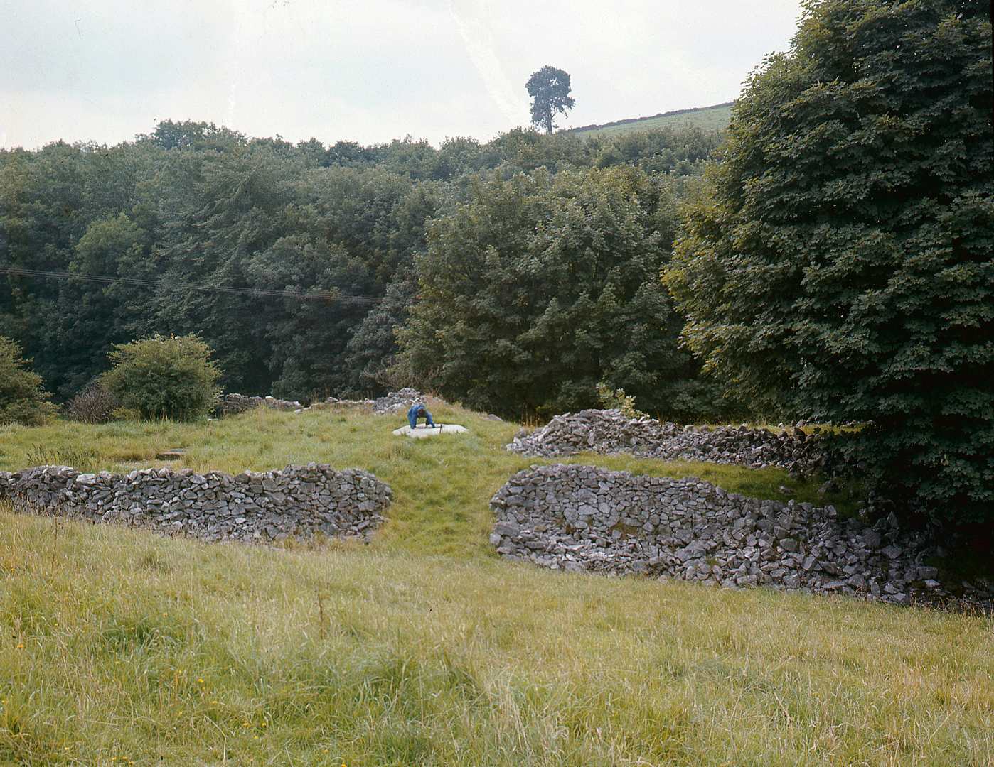 Snake Mine gin race 1970